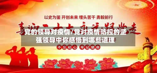 党的领导对疫情/党对疫情防控的坚强领导中你感悟到哪些道理-第2张图片