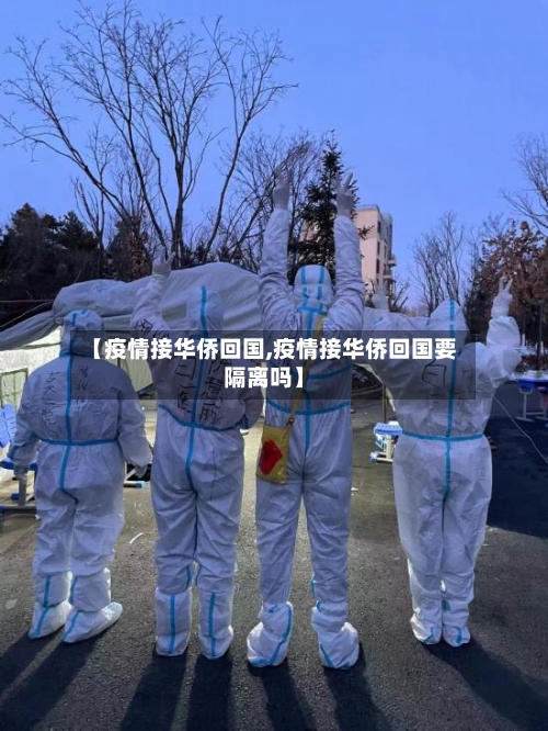 【疫情接华侨回国,疫情接华侨回国要隔离吗】-第2张图片