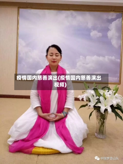 疫情国内慈善演出(疫情国内慈善演出视频)