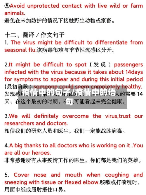 疫情中的句子/疫情中的语句-第1张图片