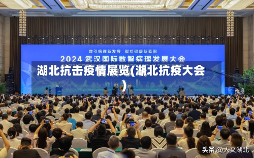 湖北抗击疫情展览(湖北抗疫大会)-第3张图片