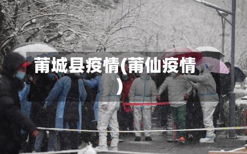 莆城县疫情(莆仙疫情)-第3张图片