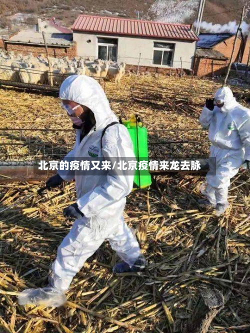 北京的疫情又来/北京疫情来龙去脉-第1张图片