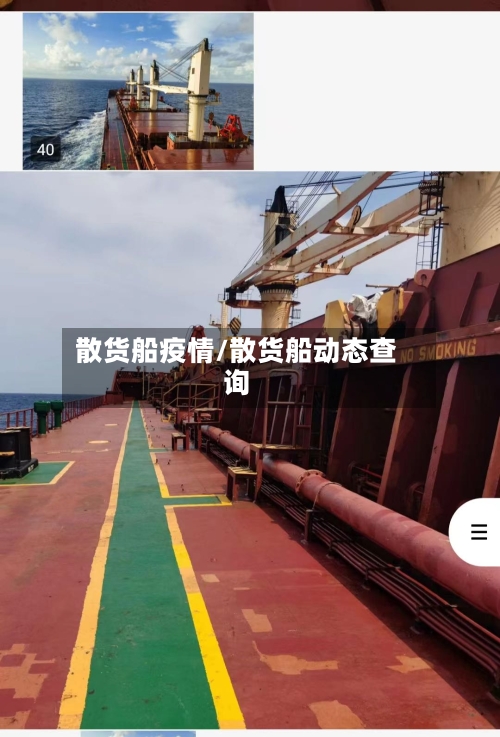 散货船疫情/散货船动态查询-第1张图片