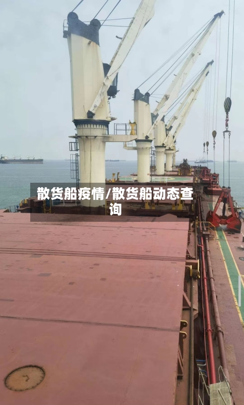 散货船疫情/散货船动态查询-第2张图片