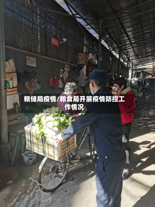 粮储局疫情/粮食局开展疫情防控工作情况-第1张图片