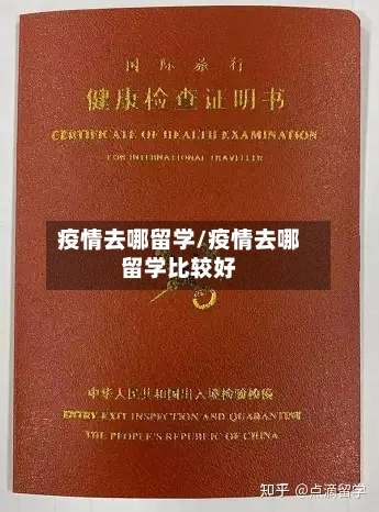 疫情去哪留学/疫情去哪留学比较好-第1张图片