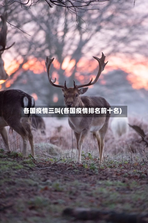 各国疫情三叫(各国疫情排名前十名)-第1张图片