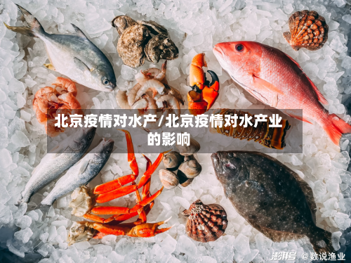 北京疫情对水产/北京疫情对水产业的影响-第1张图片