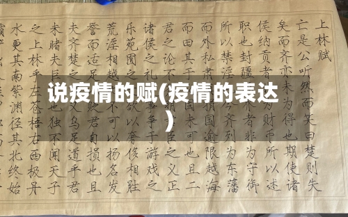 说疫情的赋(疫情的表达)-第1张图片