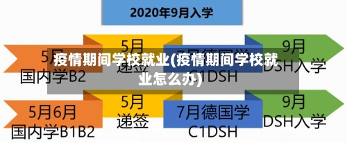 疫情期间学校就业(疫情期间学校就业怎么办)-第1张图片
