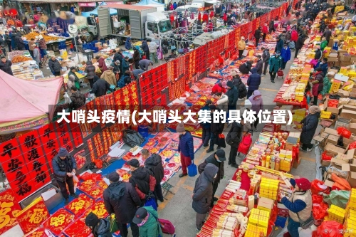 大哨头疫情(大哨头大集的具体位置)-第1张图片