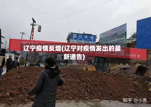 辽宁疫情反增(辽宁对疫情发出的最新通告)-第1张图片