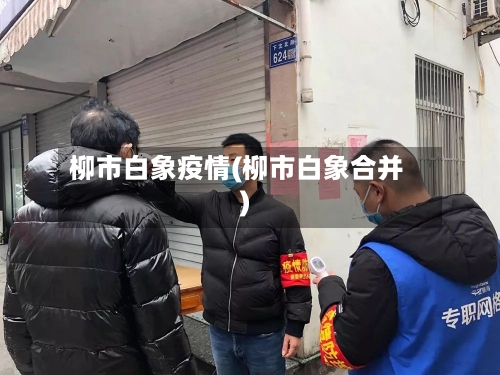 柳市白象疫情(柳市白象合并)-第1张图片