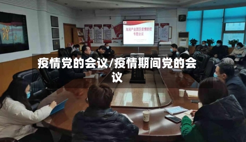 疫情党的会议/疫情期间党的会议-第1张图片