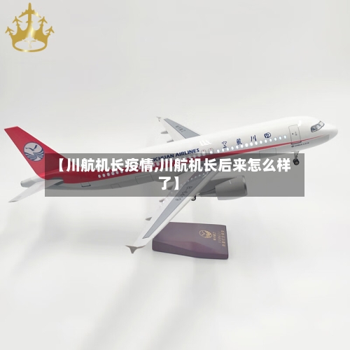 【川航机长疫情,川航机长后来怎么样了】-第1张图片