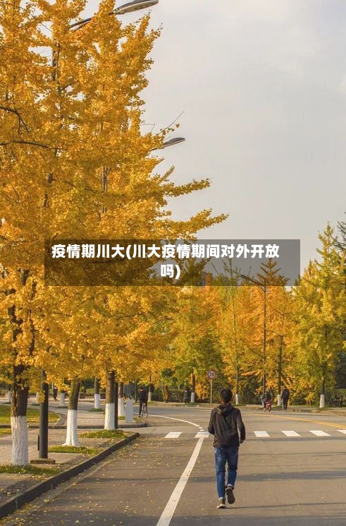 疫情期川大(川大疫情期间对外开放吗)-第2张图片