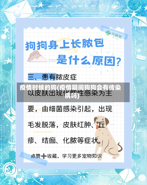 疫情时候的狗(疫情期间狗狗会有传染病吗)-第1张图片