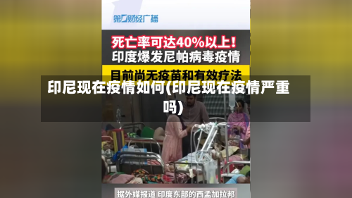 印尼现在疫情如何(印尼现在疫情严重吗)-第1张图片