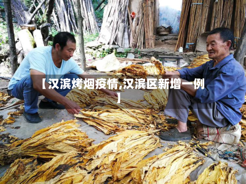 【汉滨烤烟疫情,汉滨区新增一例】-第1张图片