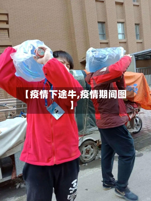 【疫情下途牛,疫情期间图】-第3张图片